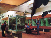 Tropenhaus 1978